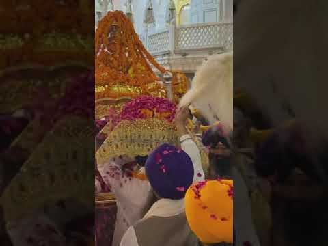 shri Harmandir Sahib 🙏🏻 palki sahib Darshan 🌹