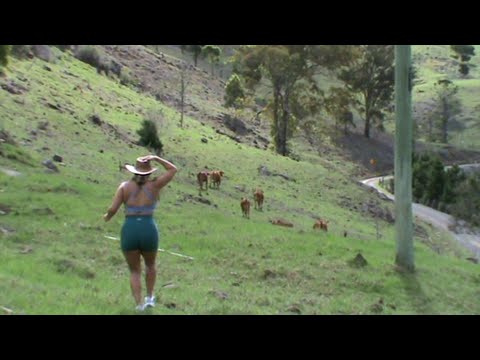 DJ Houseplants - Elissa Steamer