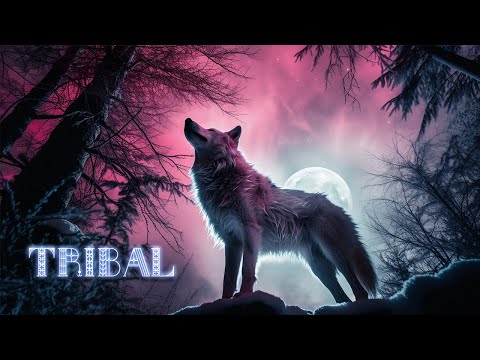 TRIBAL - Shamanic Drum Trance - Activate Your Higher Mind - The Full Moon Shaman Meditation