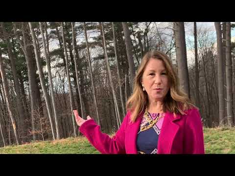 Andover Pulte Intro 62+ Active Living