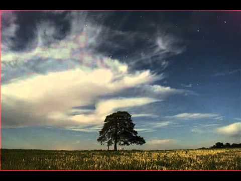 Patkó Bandi fája, a csillagok alatt