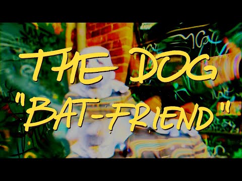 The Dog - Bat-Friend (OFFICIAL VIDEO)