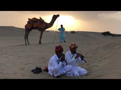 #shorts/playing Algoza at Sam dunes jaisalmer