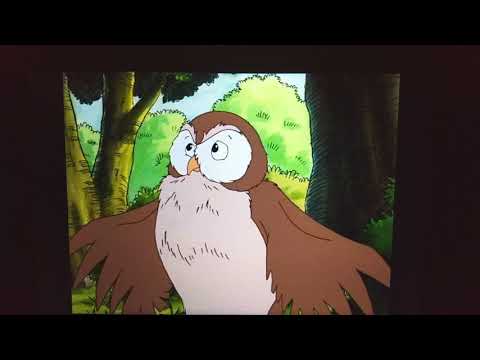 Owl - Little Bear Talks To Himself