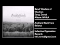 Wisdom of Shadows - Zmrok 