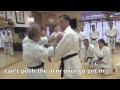 Taira Bunkai Fundamentals