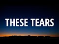 Andy Grammer - These Tears (Lyrics)