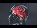 An Innovative Device Combined With Medication Could Tame Epileptic Seizures NBC Nightly News