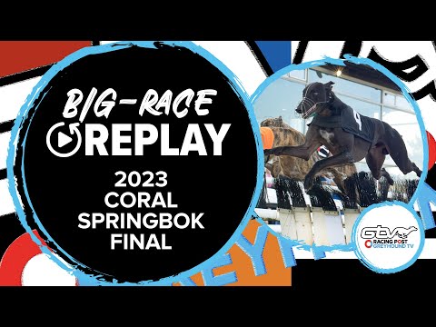 2023 Coral Springbok Final - Droopys Chaser | Greyhound Race Replays | 2023 Big Finals