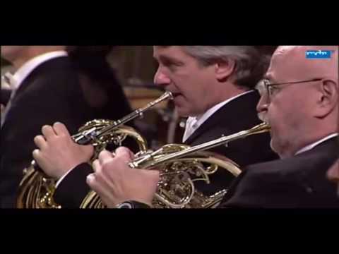 Mahler's 5th Symphony, Corno obligatto Solo (3)