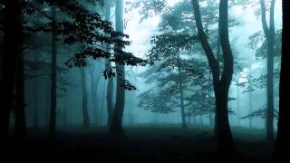 Steven Wilson- A Forest