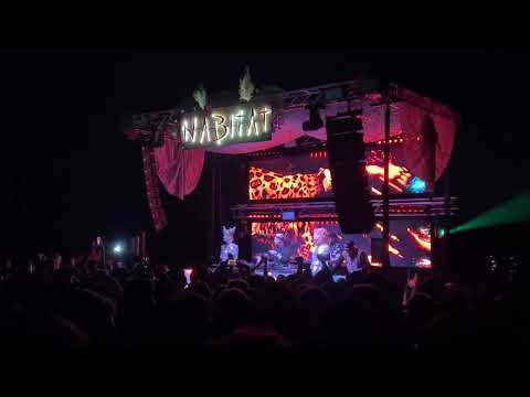 Cid Inc @ Habitat - ARG 26/03 #1