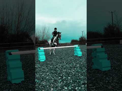 Flatwork/Polework Lesson Today!