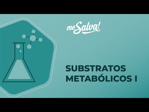 Substratos metabólicos - Bioquímica - Me Salva! Saúde