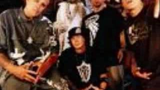 kottonmouth kings - free willy