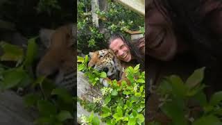 Download lagu Men Who Lives With Tigers || Real Tarzan Kody Antle || #kodyantle #Tiger #realtarzan #tarzan #shorts mp3 Download lagu Men Who Lives With Tigers || Real Tarzan Kody Antle || #kodyantle #Tiger #realtarzan #tarzan #shorts mp3