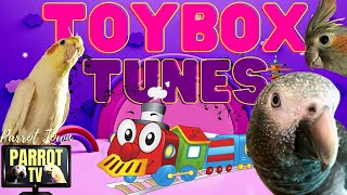 Birbie Toybox Tunes | Quirky Music for Quirky Birdies | Parrot Town TV for Your Bird Room