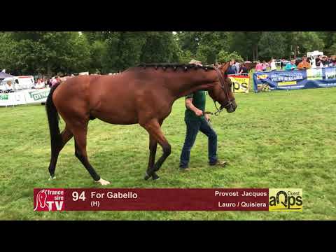 Show AQPS Lion 2017 : Lot 94 - For Gabello