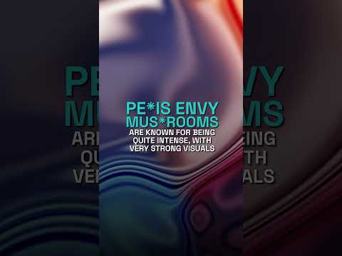 Penis Envy Mushrooms: The World’s Strongest Psychedelic Mushroom?