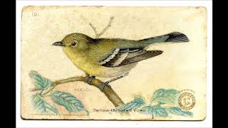 Belle &amp; Sebastian - There Is An Everlasting Song