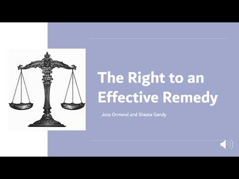 The Right to an Effective Remedy