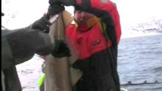 preview picture of video 'Norway cod fishing (Tursaralli Norras 2010)'