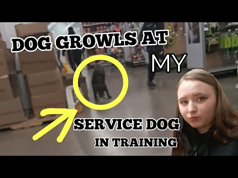 Dog GROWLS at Hazel, Hazel Alerts, and MORE!