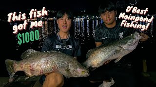 Download lagu This Fish got me a $1000?!! | D'Best Main Pond Fishing | Singapore Fishing mp3 Download lagu This Fish got me a $1000?!! | D'Best Main Pond Fishing | Singapore Fishing mp3