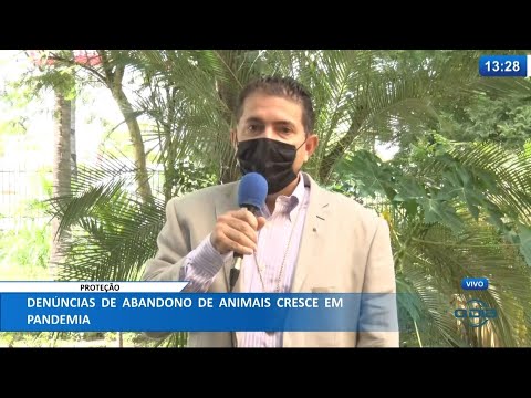 Denúncia de abandono de animais cresce durante a pandemia 14 04 2021