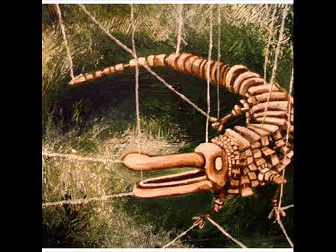 Timballmastaz - Crocodile