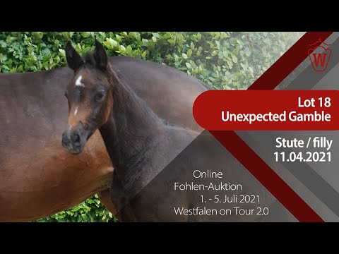"Westfalen on Tour 2.0"-Auktion - Lot 18 Unexpected Gamble v. Untouchable - Clinton