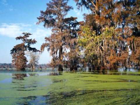 Buckwheat Zydeco-Skip To My Blues