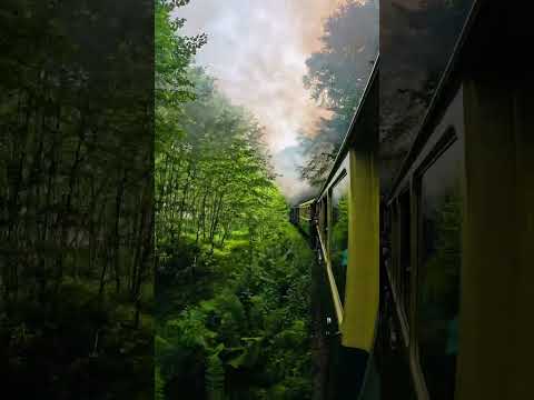 Mocanita – Viseul de Sus .. the last steam forestry train in Europe