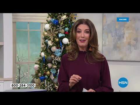 HSN | Electronic Gift Connection featuring Bose 12.14.2019 - 06 AM