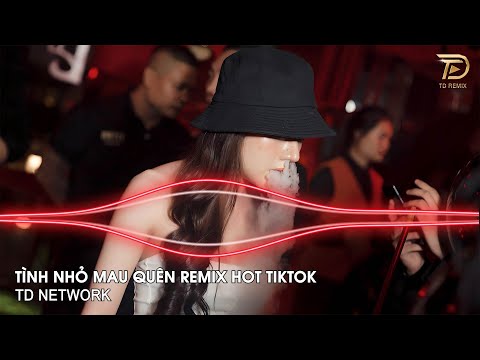 Tình Nhỏ Mau Quên Remix (TD Network) ~ Hôm Nao Hoa Phượng Nở Về Quê Ghé Thăm Nhà Em Remix Hot Tiktok