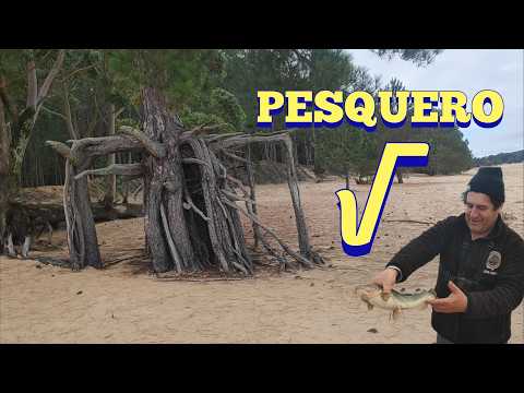 Hermoso pesquero, el raíz cuadrada en San Gregorio de Polanco