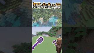 チーターの整地方法【マインクラフトBE】【コマンド】 #minecraft  #マイクラ  #コマンド