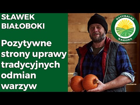 , title : 'Pozytywne strony uprawy tradycyjnych odmian warzyw. Sławek Białoboki. KONFERENCJA'