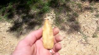 preview picture of video 'How to find arrowheads'