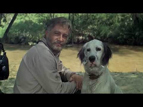 White Bim Black Ear (1977) - Stanislav Rostotskiy - Vyacheslav Tikhonov - English Subtitles