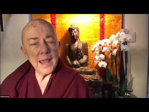 Express Meditation - Purifying our Speech - Ven. Robina Courtin