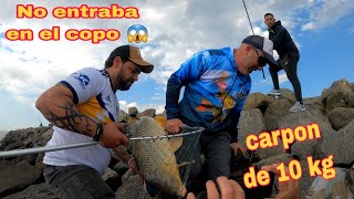 Carpa de 10 Kg / Pesca de Carpas en Bs As / espigón isla Paulino / pesquero gratis / carpfishing