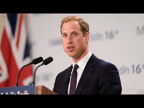 Thumbnail for James Alexander rises beyond his father, ready to stand beside Prince William as trusted advisor | by James Alexander
