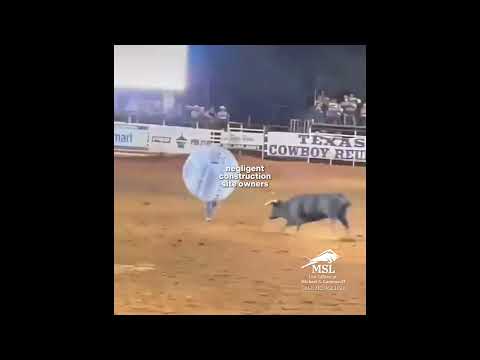 DON'T MESS WITH THE BULL!