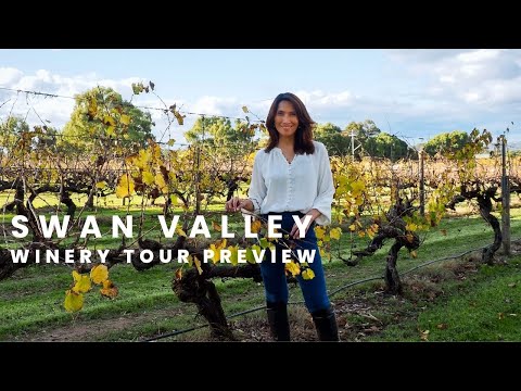 How to spend your day at the Swan Valley -  Winery Tour Preview - top attractions!