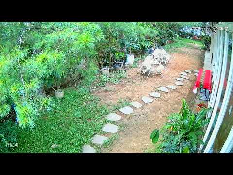 慕尼黑巧克力工坊即時影像