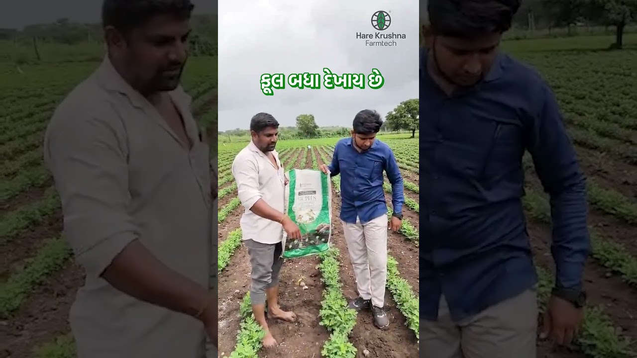 Magic Plus Organic Granular Fertilizer Cover