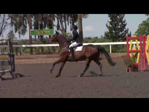Brookside Premier 1 - Captiva - $5,000 Open Prix