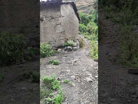 Huari - Ancash. Acopalca. H&M FILMS