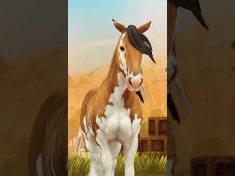 #sso #starstable #starstableonline #horse #horsegame #onlinegame #gaming